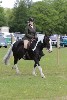 thornton-le-dale-gala showclass7acharity25-5-20166